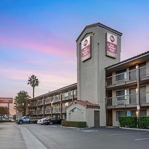 Best Western Plus Executive Inn
